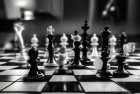 象棋天天象棋：自由探险家在抵御僵尸的冒险之旅