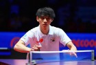 樊振东陈梦退出世排赛：挑战与惊喜，乒乓球激情依旧