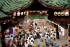 植物大战僵尸：经典挑战体验，疯狂植物大战僵尸乐趣无限