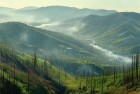 24年加州3500起山火：抗争中的美丽家园