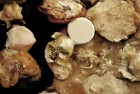 成语接龙：挑战智慧，体验成语文化之旅