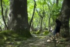寂静岭欢乐无限，刀塔自走棋英雄挑战之旅