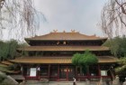 球球大作战友谊赛：挑战与体验，我们的快乐时光