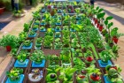 植物大战僵尸赏金赛：经典游戏新体验，惊喜无限对决