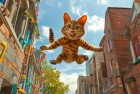 汤姆猫英雄跑酷：街头挑战与无限可能