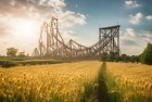 牧场物语×过山车大亨：双重乐趣，冲刺梦想牧场，挑战激情无限