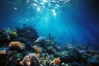 神秘海域色彩交融：海绵宝宝的黑暗奇遇，星星指引下的心灵之旅
