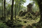神秘森林火爆全网：智者推理古代遗址、外星生命与自然进化之谜