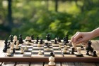夏日五子棋对决：智慧与策略的竞技盛宴