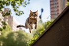 汤姆猫跑酷体验：我们一起感受城市街头的跑酷魅力