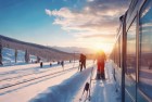 冬日滑雪大冒险之旅：挑战与惊喜的体验