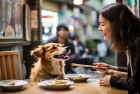 女子街头用公共餐具喂狗，传递文明温暖，我们一起守护梦想