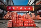 2024年快递业务量破1700亿件：24年辉煌回顾，共筑快递无限活力