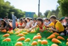保卫萝卜表演赛：绿色守护之旅体验上线