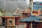 动物园之星欢乐无限暴雨之旅，我们一起见证梦想的星星