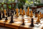 棋牌欢乐与角色冒险：桌游体验之旅